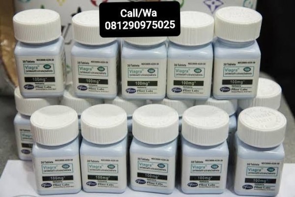 Pusat Jual VIAGRA (100mg) Di Gresik 081290975025 Toko Obat Kuat Pria COD