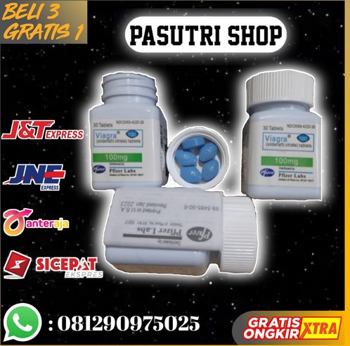 Jual VIAGRA (100mg) Asli Di Nusantara 081290975025 Toko Obat Kuat Pria COD