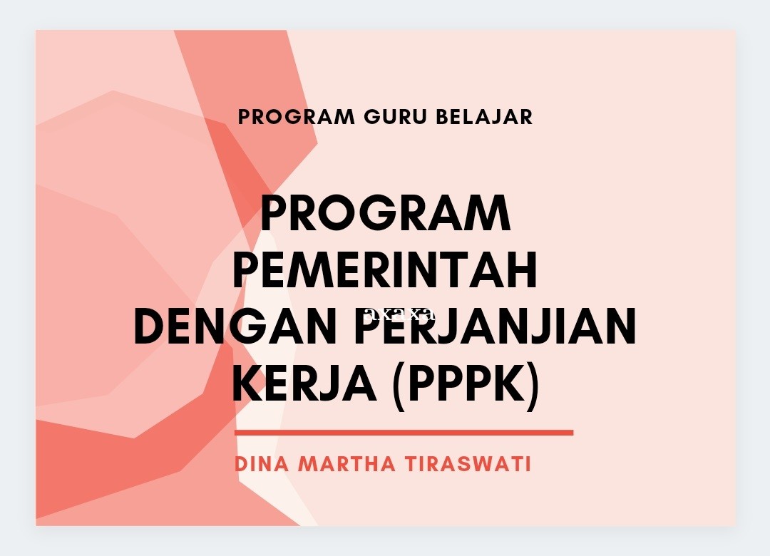 PEGAWAI PEMERINTAHAN DENGAN PERJANJIAN KERJA (PPPK)